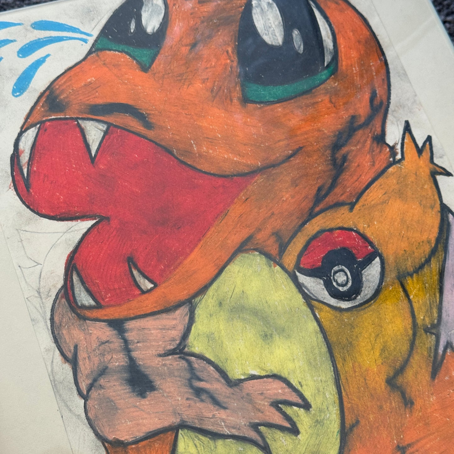 Austin Ansbro - Squirtle and Charizard - Diptych