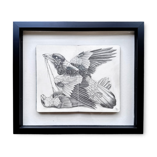 Sam Yong - Divination