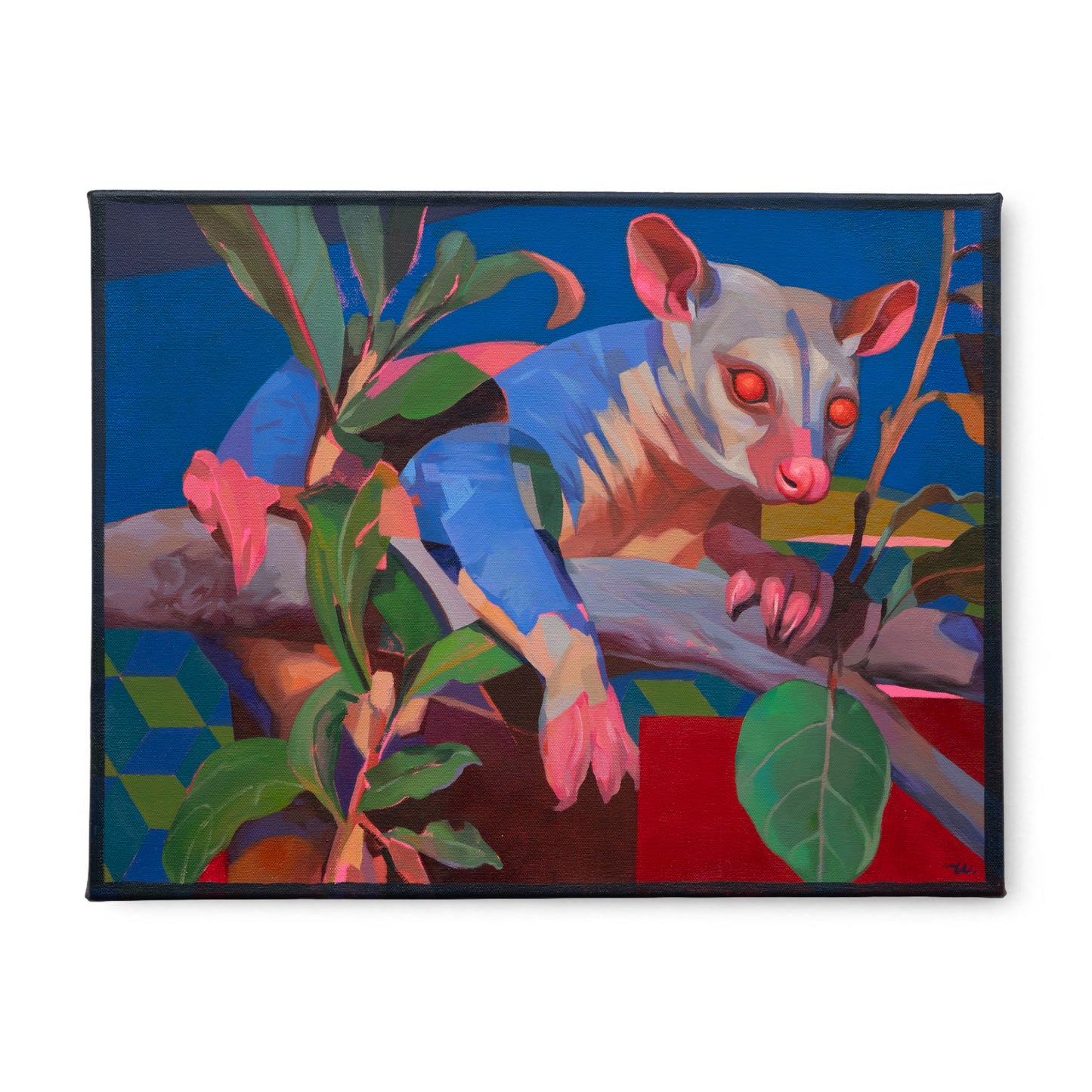 Taylor White - Possum Magic