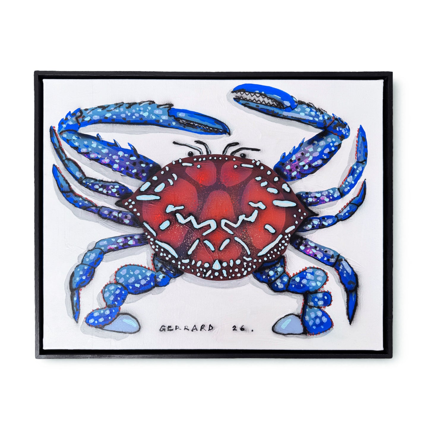 Tom Gerrard - Blue Swimmer Crab
